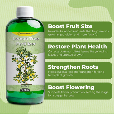 PERFECT PLANTS label close-up highlighting 6-3-3 formula and micronutrients.
