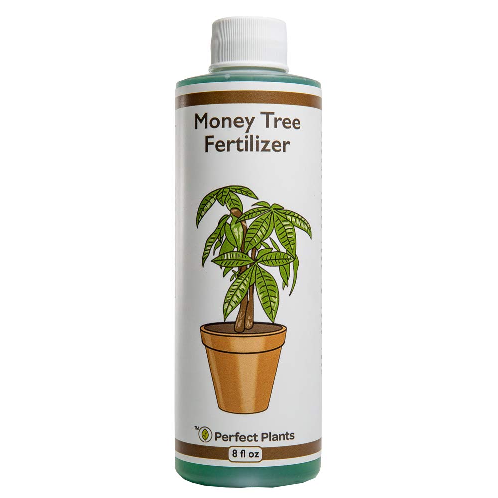 Perfect Plants fertilizer bottle ready for easy indoor feeding.