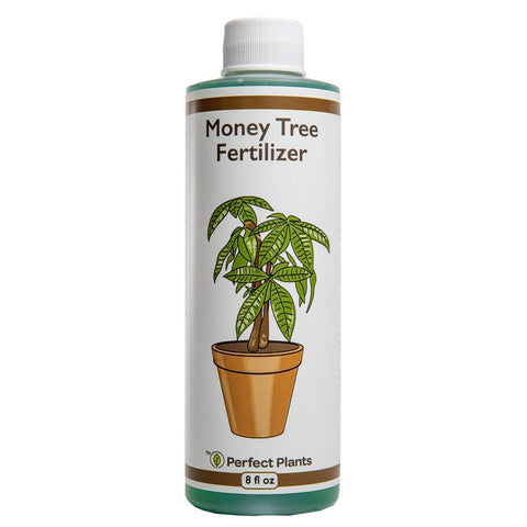 Perfect Plants fertilizer bottle ready for easy indoor feeding.