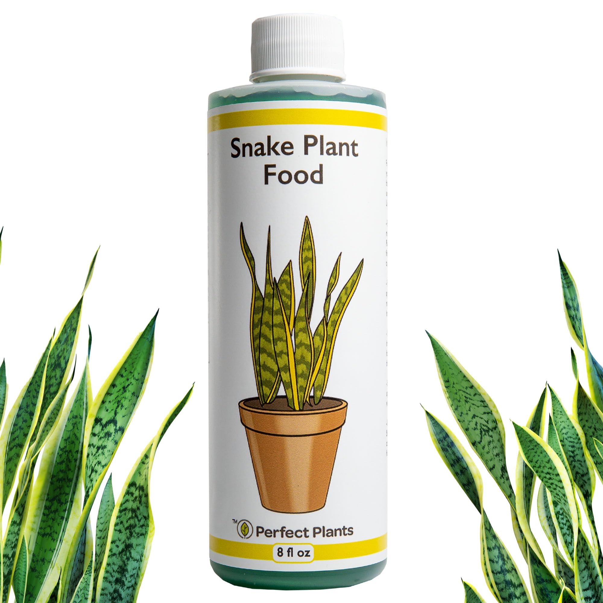 Perfect Plants Liquid Snake Plant Fertilizer bottle for vibrant growth