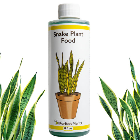 Perfect Plants Liquid Snake Plant Fertilizer bottle for vibrant growth