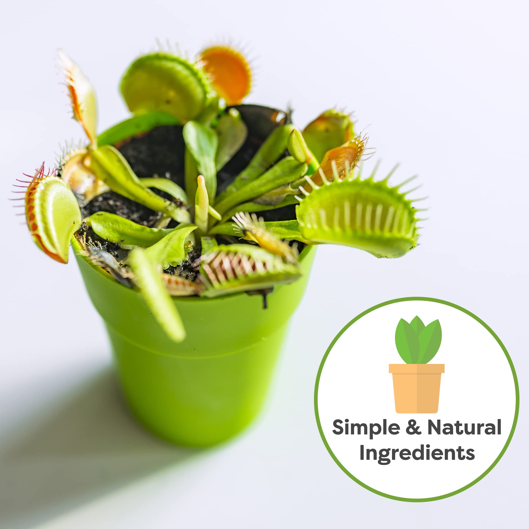 Perfect Plants moisture-control soil supports precise water retention for all types of carnivorous plants.