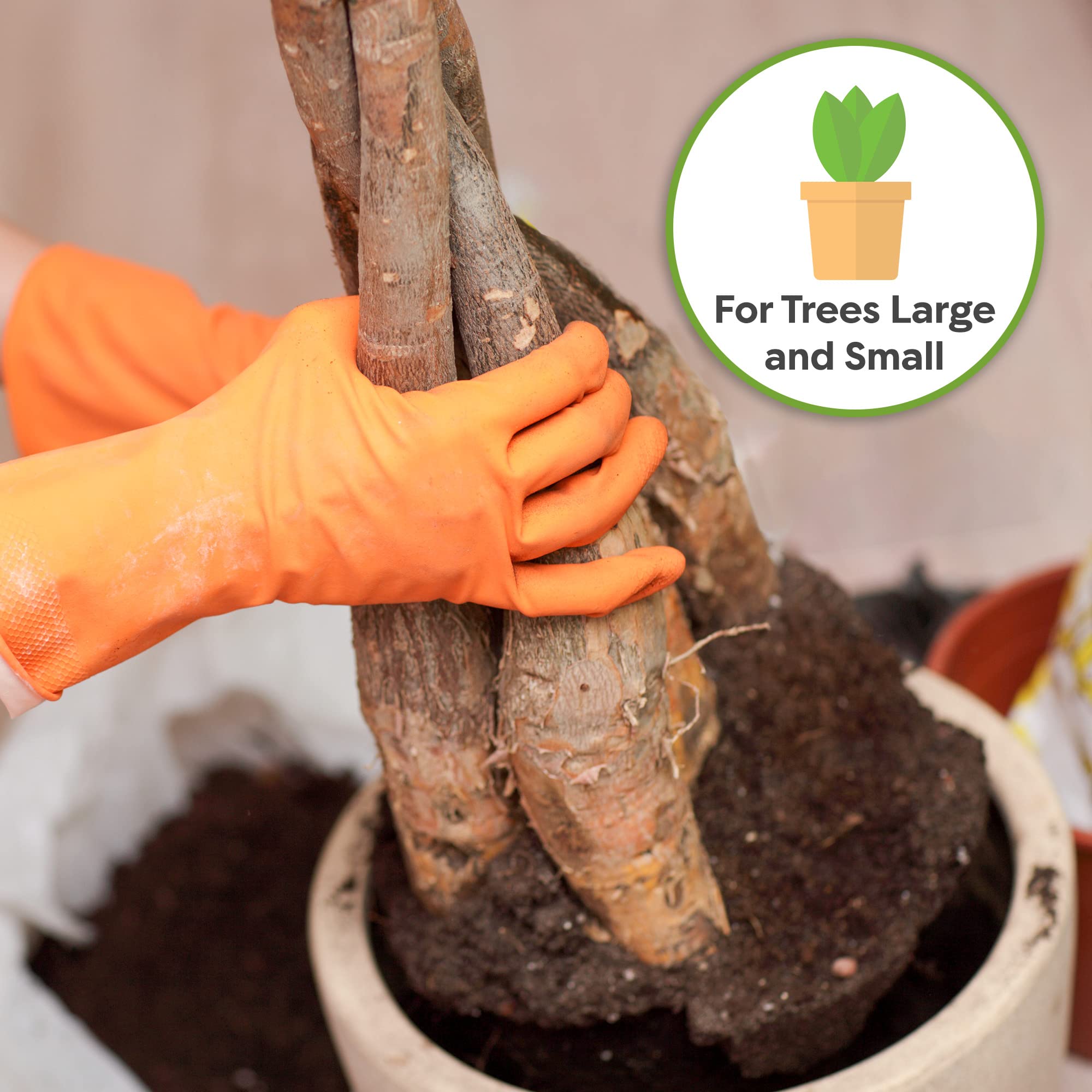 PERFECT PLANTS Money Tree Soil 2qt provides efficient drainage and root health.
