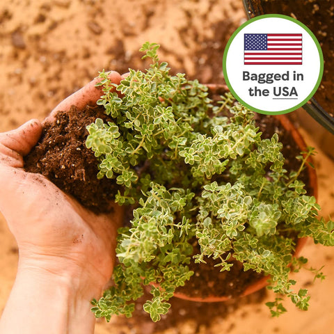 Perfect Plants moisture management emphasizes drainage and airflow for roots.
