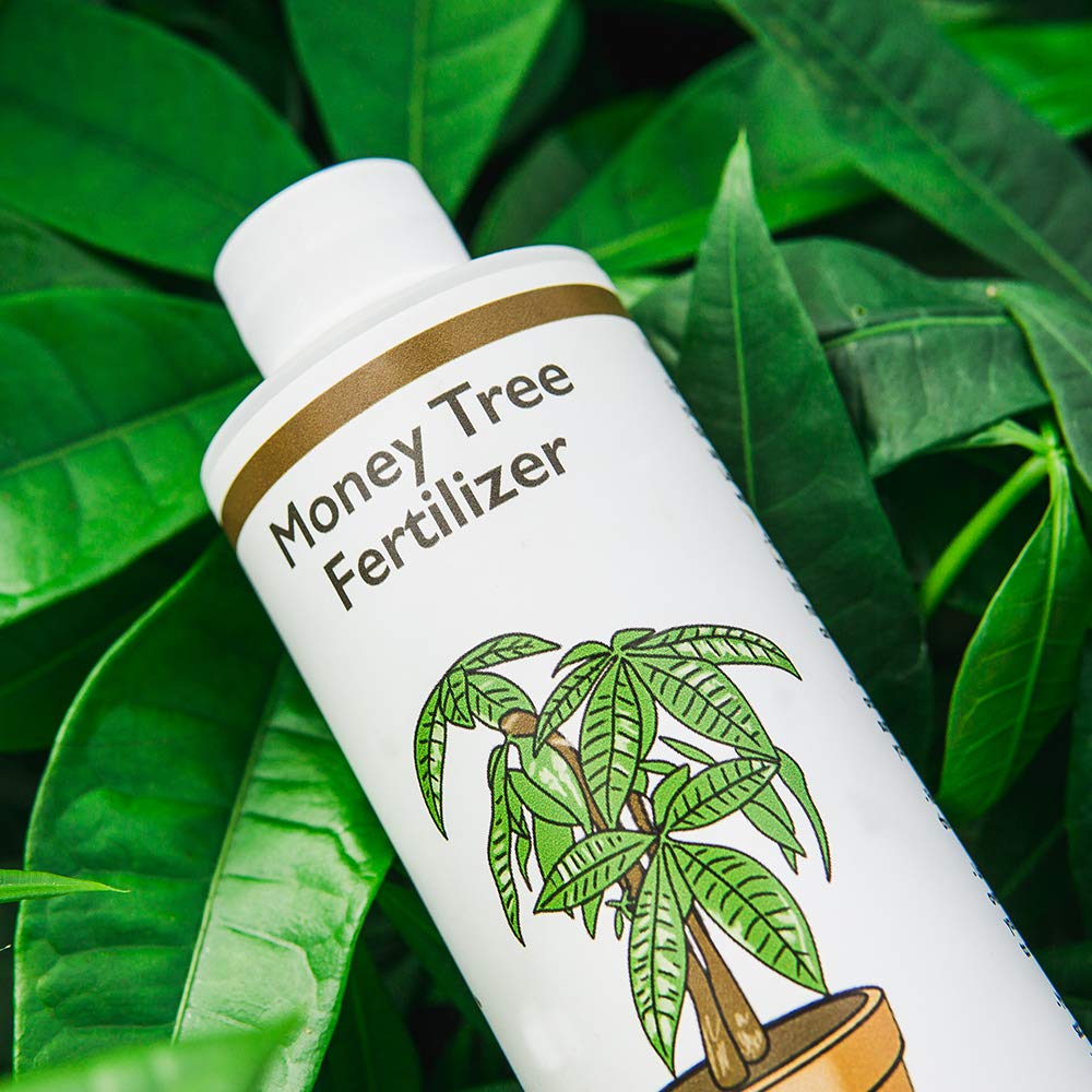 Perfect Plants fertilizer dilution with water for precise watering.