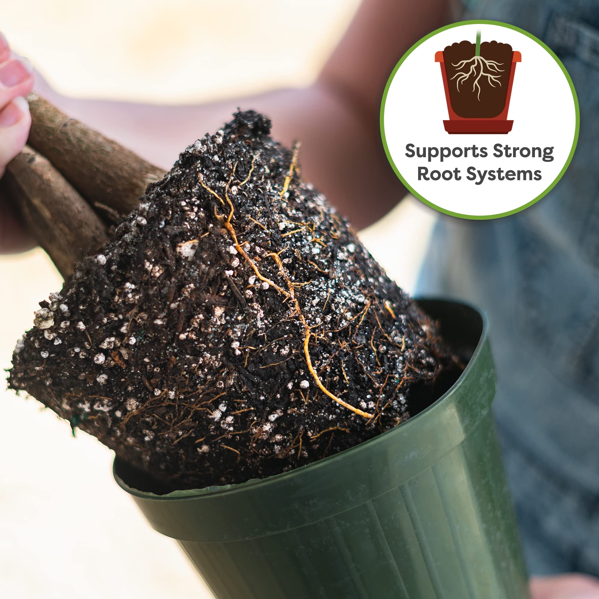 Perfect Plants Money Tree Potting Soil coir and pine bark blend promotes root health.