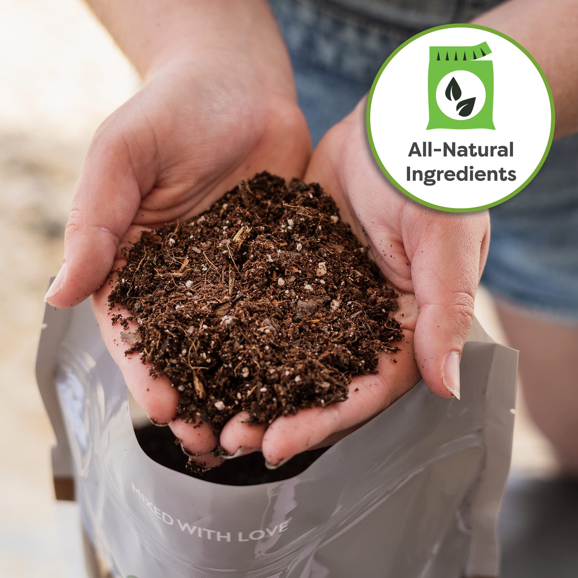 Perfect Plants Money Tree Potting Soil four-quart bag ready to pot indoors.