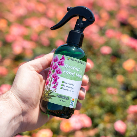 Perfect Plants Orchid Fertilizer Mist bottle used for weekly application.