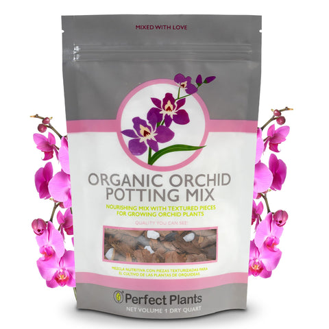 Perfect Plants orchid potting mix charcoal texture improves airflow for roots