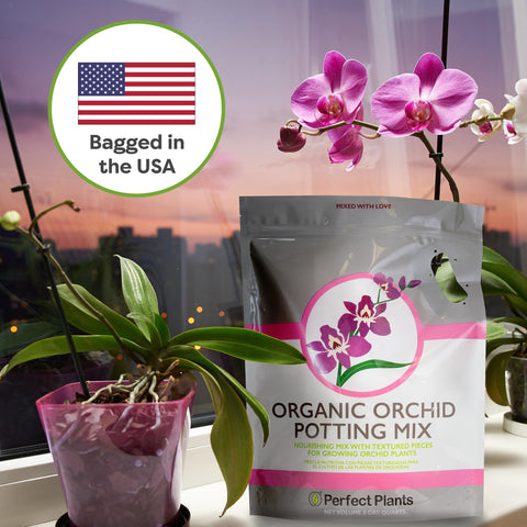 Perfect Plants orchid potting mix drainage helps prevent overwatering