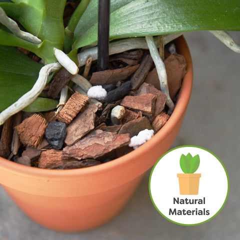 Perfect Plants orchid potting mix pine bark chips aids root growth