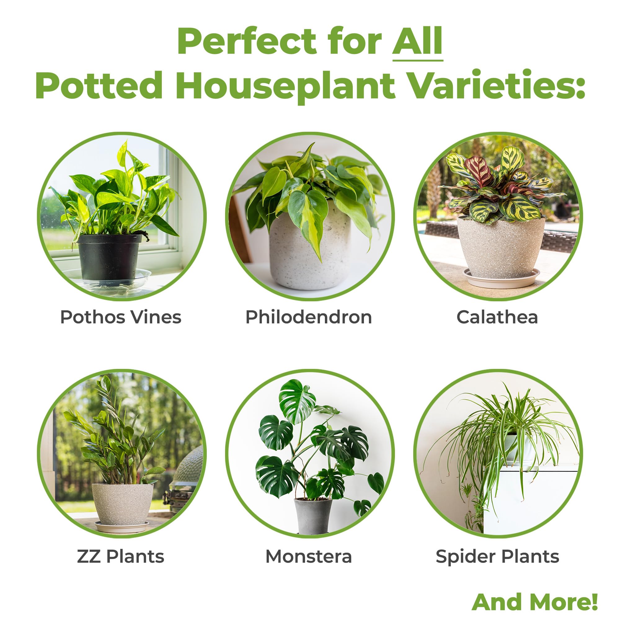 Perfect Plants organic materials include pine bark and coco coir for healthy drainage.
