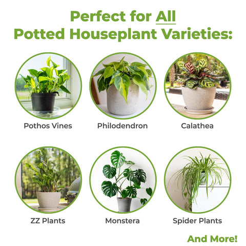 Perfect Plants organic materials include pine bark and coco coir for healthy drainage.