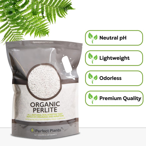 PERFECT PLANTS Organic Perlite provides more root space in soil.