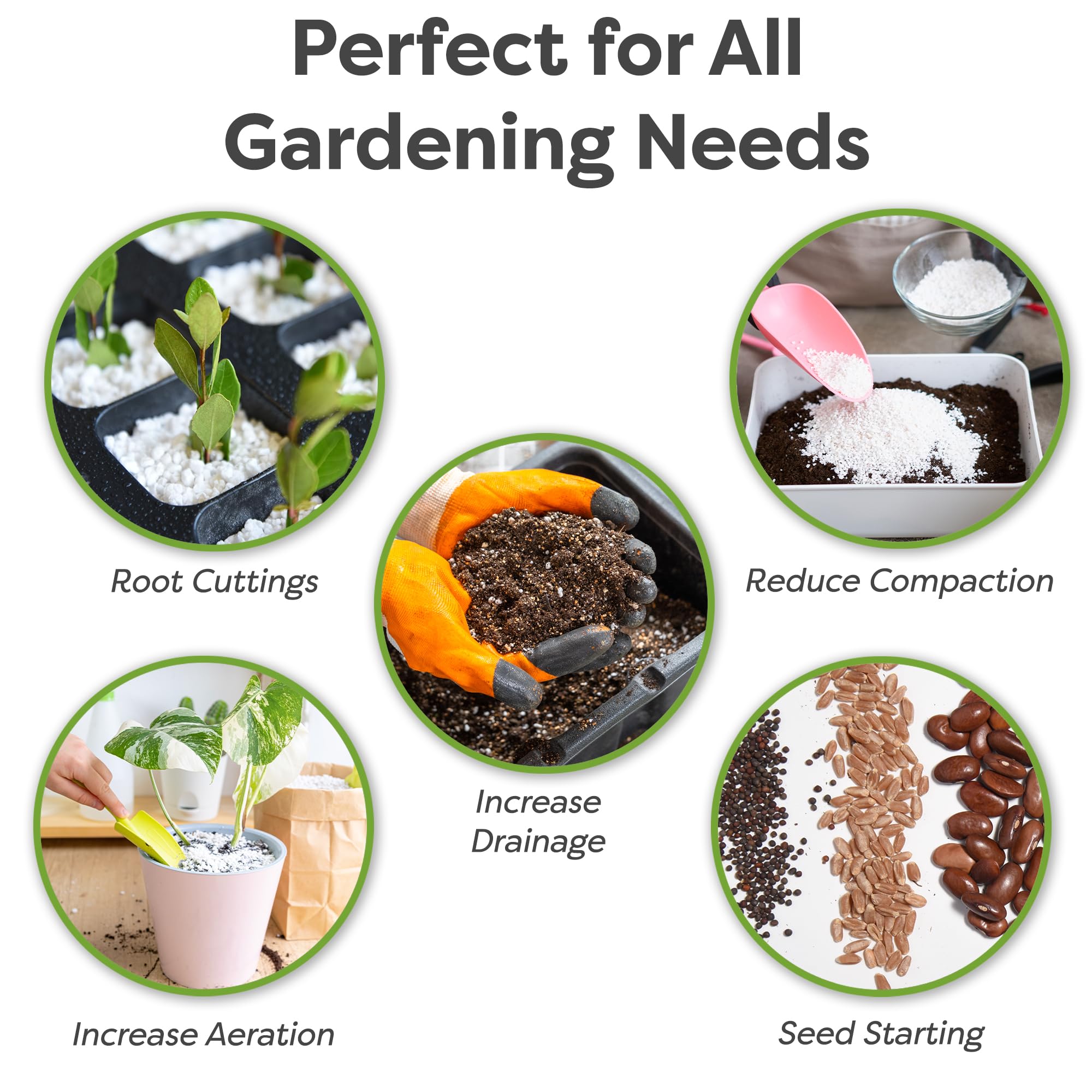 PERFECT PLANTS Organic Perlite demonstrates improved soil aeration for pots.