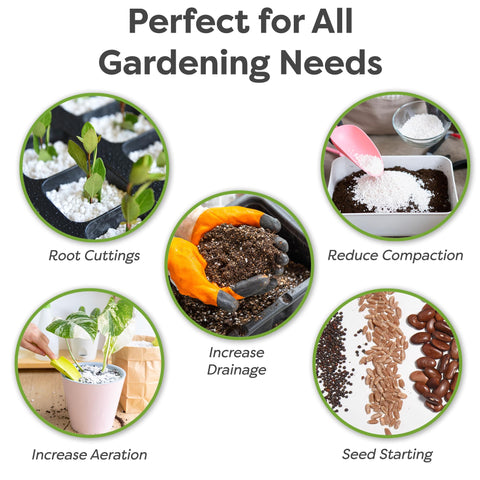 PERFECT PLANTS Organic Perlite demonstrates improved soil aeration for pots.