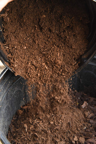 Perfect Plants peat moss being mixed into potting soil to improve moisture.