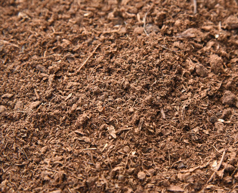 Perfect Plants peat moss suited for indoor and outdoor plant care.
