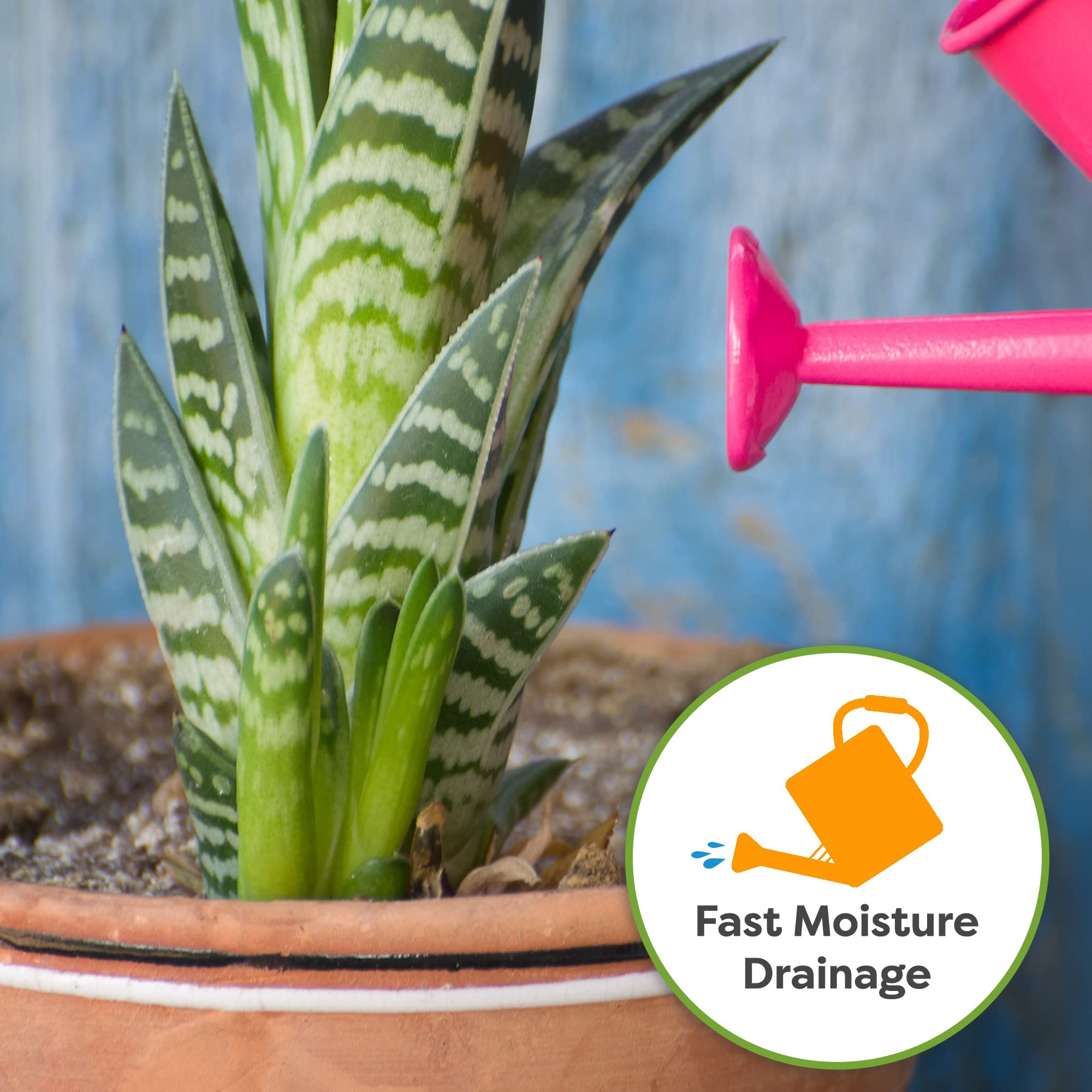 Perfect Plants perlite and sand provide porosity for robust root growth