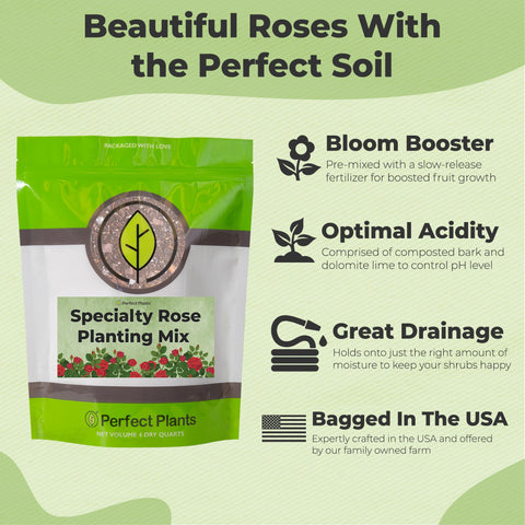 PERFECT PLANTS-rose-mix-drainage-aeration ensures excellent drainage for thriving roses