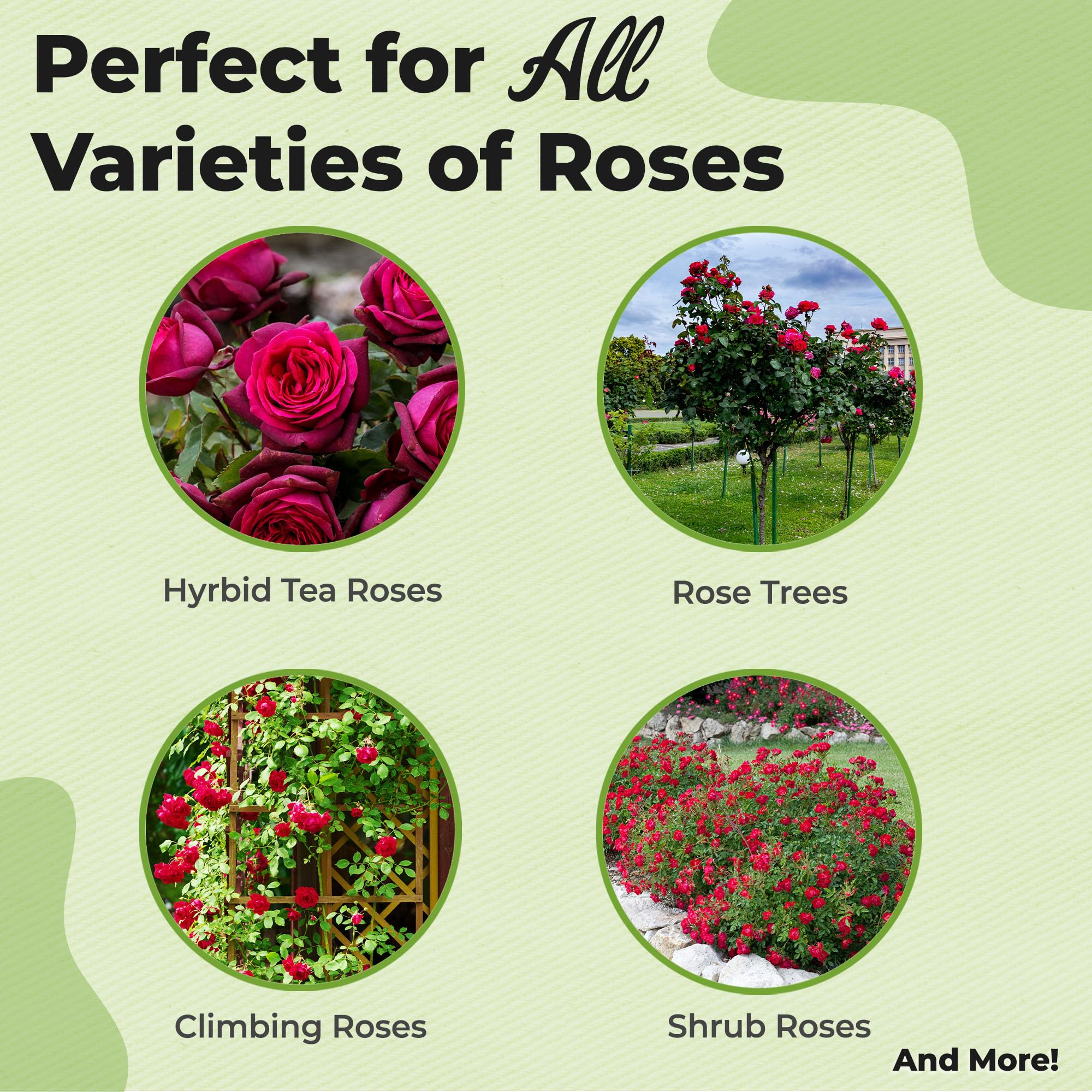 PERFECT PLANTS rose-potting-mix-8qt supports healthy growth in containers with slow-release nutrients
