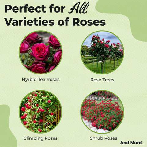 PERFECT PLANTS rose-potting-mix-8qt supports healthy growth in containers with slow-release nutrients