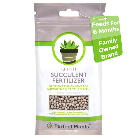 PERFECT PLANTS succulent fertilizer pellets provide slow-release nourishment for thriving plants