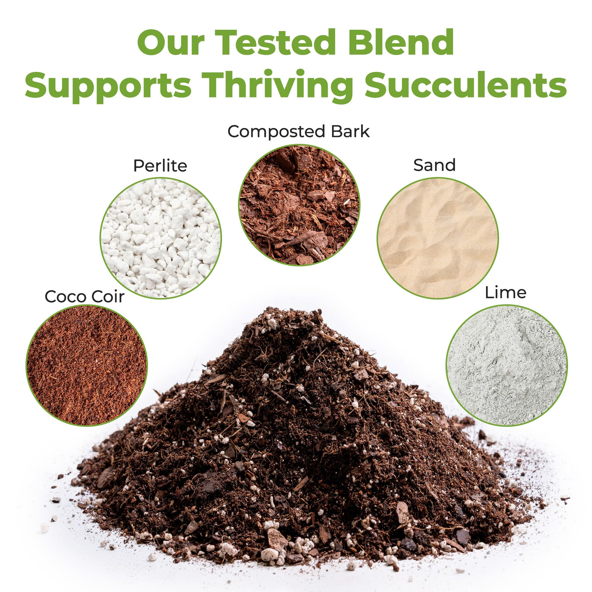 Coir particles in the Perfect Plants mix promote aeration for succulents