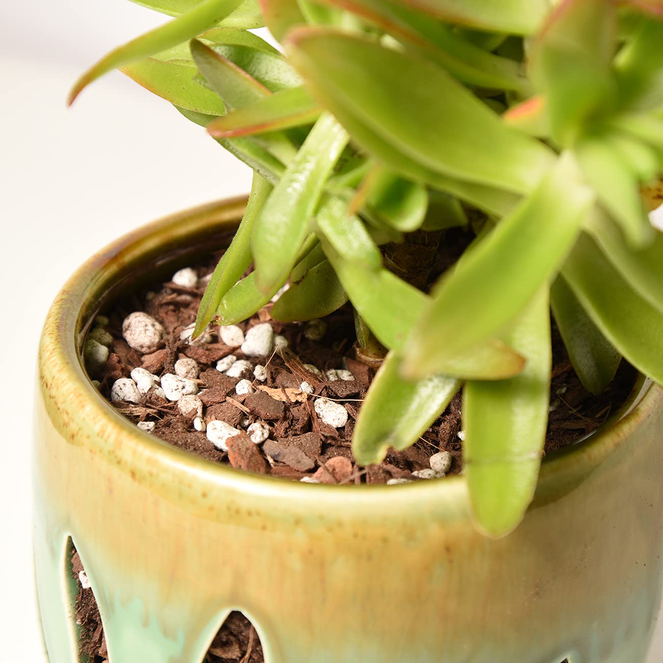 Easy resealable bag of Perfect Plants succulent soil mix maintains freshness between uses