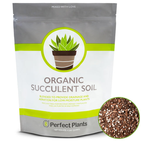 Perfect Plants succulent soil mix in a resealable bag for freshness and reuse.