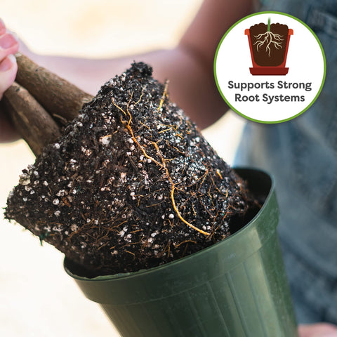 PERFECT PLANTS USA-made mix blends quality horticultural ingredients.