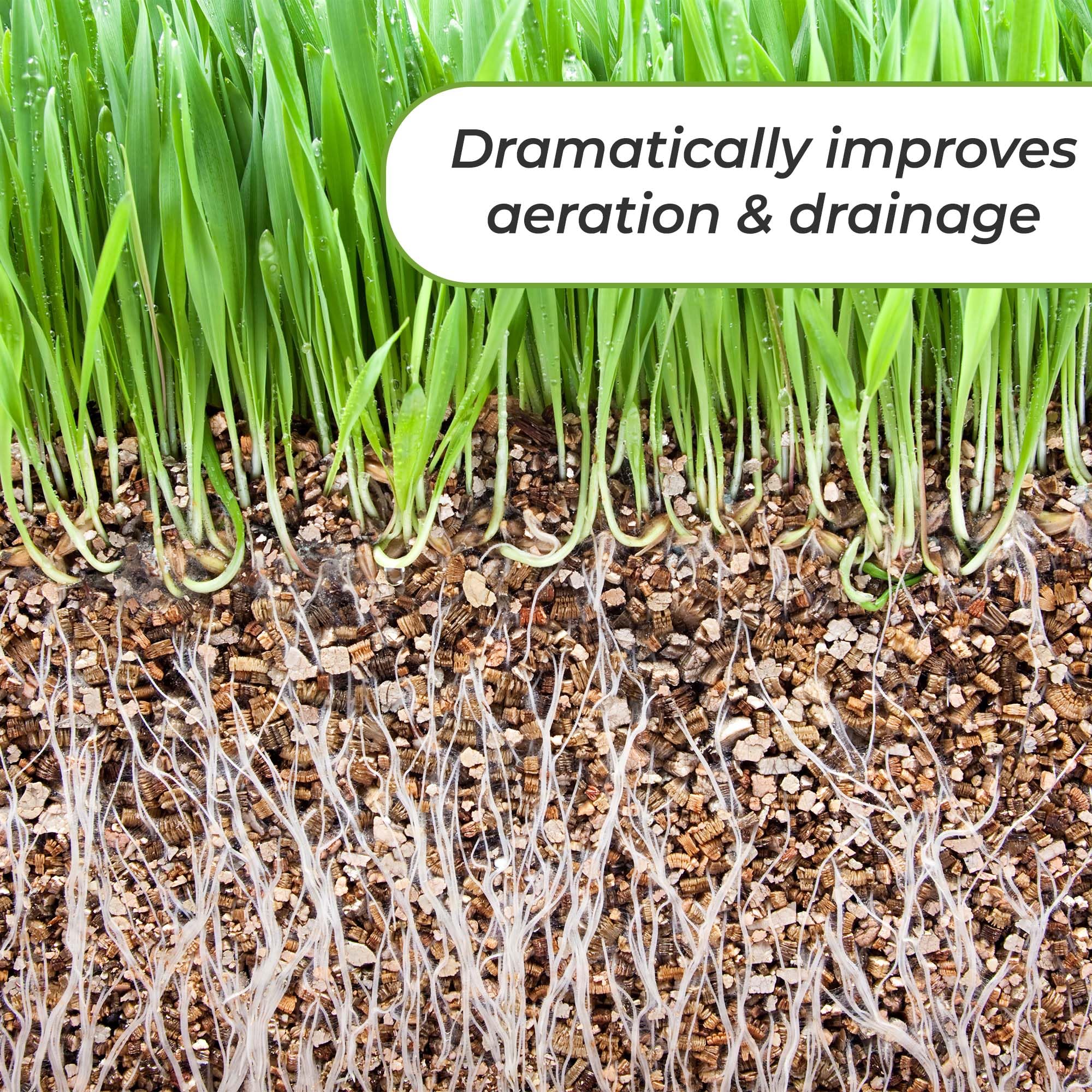 Perfect Plants Vermiculite in potting mix application shows soil conditioning at planting.
