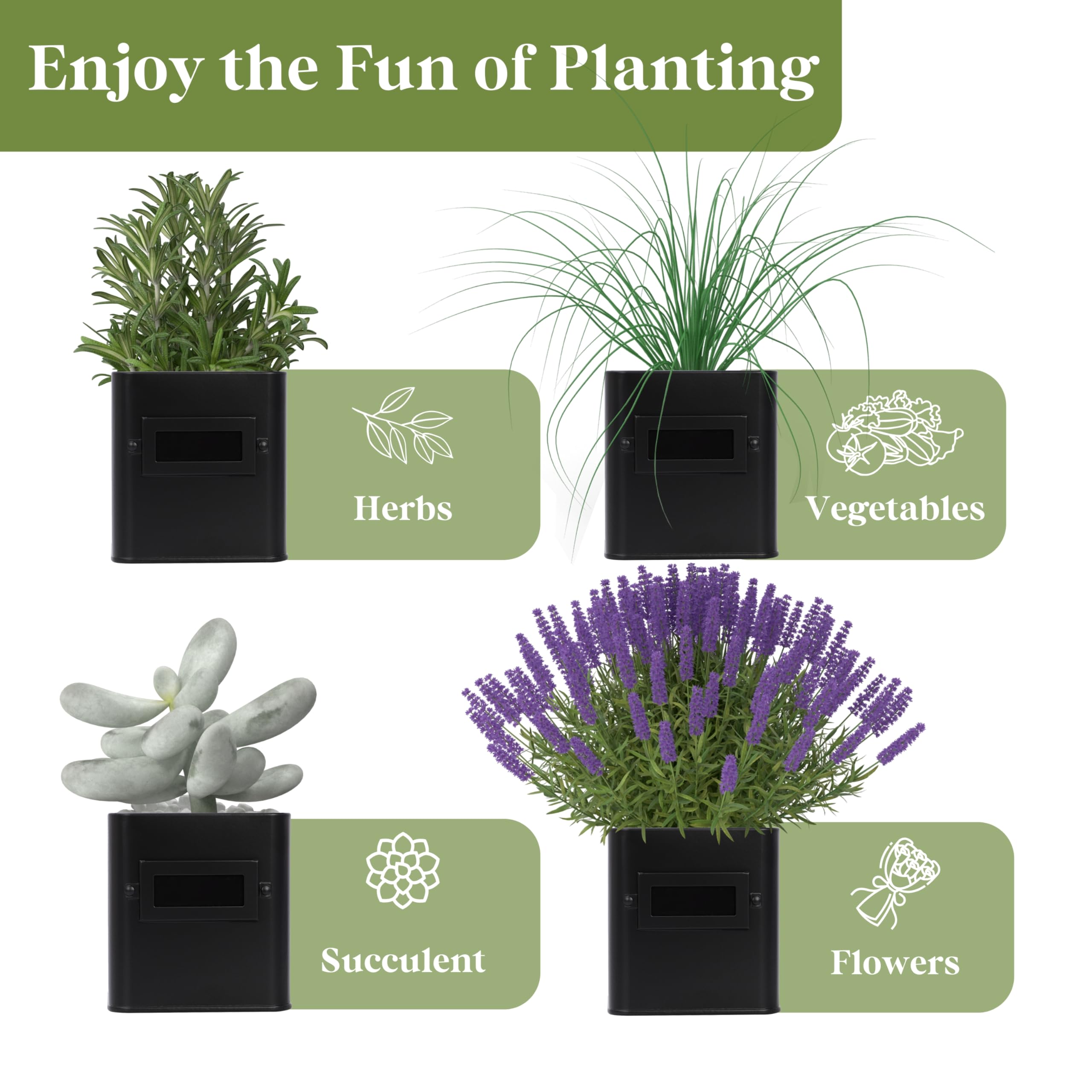 PERFNIQUE compact garden set fits small spaces and brightens counters