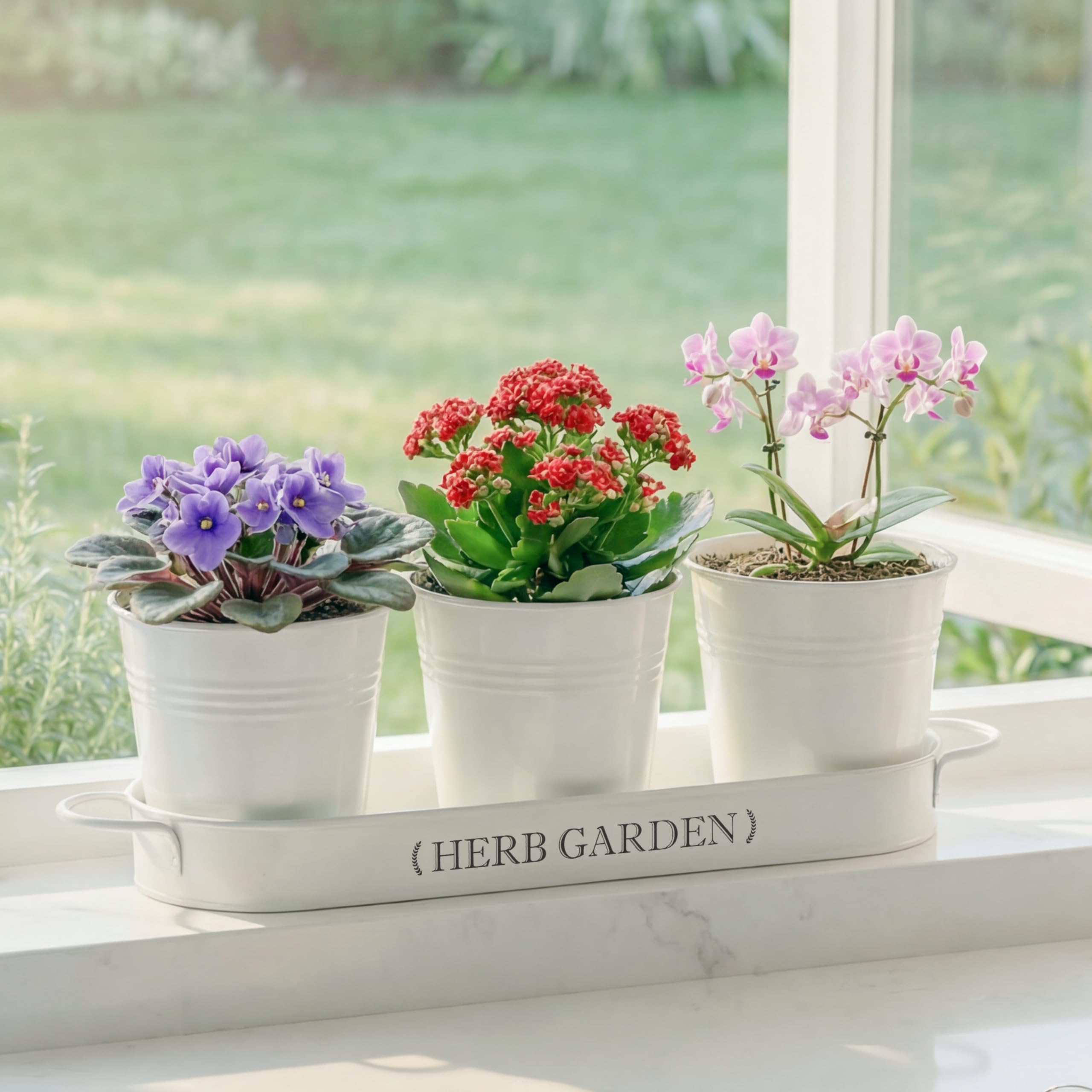 PERFNIQUE easy-care indoor herb garden for beginners with simple setup.