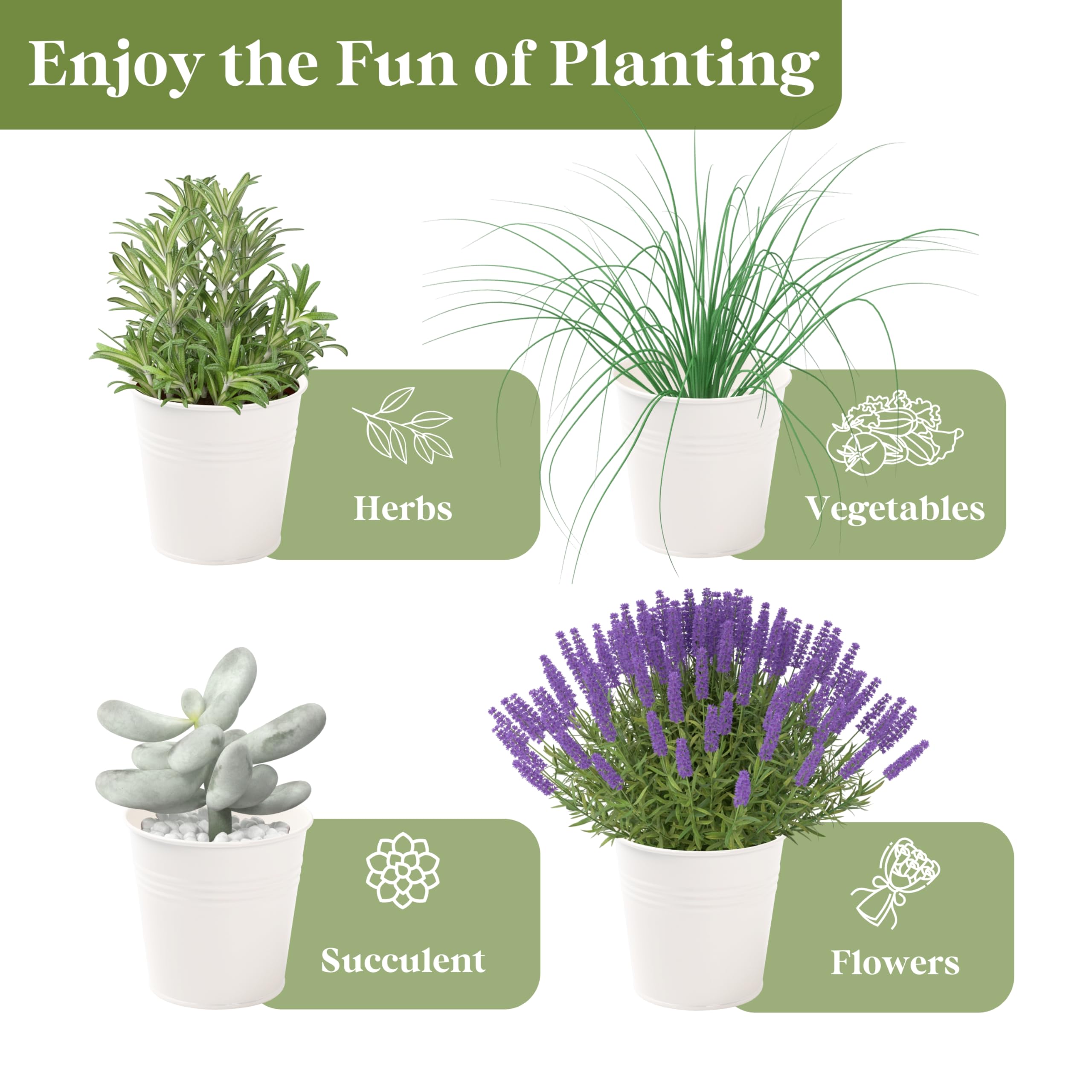 PERFNIQUE kitchen-counter herb garden display brings fresh herbs within reach.