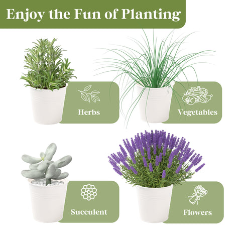 PERFNIQUE kitchen-counter herb garden display brings fresh herbs within reach.