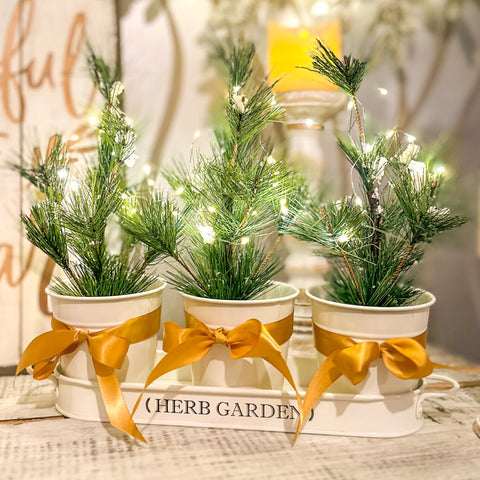 PERFNIQUE versatile planter set suitable for herbs, flowers, or succulents.