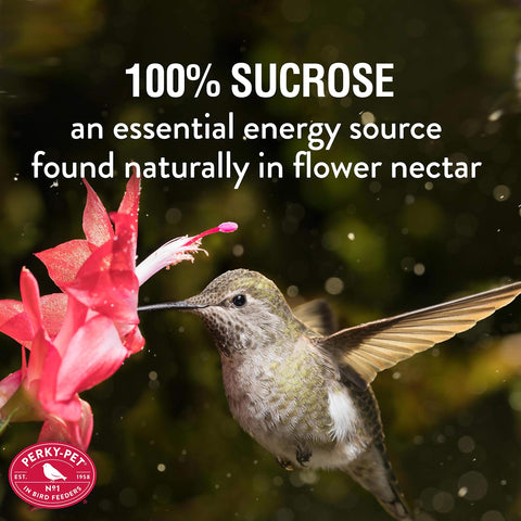 Perky-Pet nectar concentrate pour; dissolves easily to fresh nectar.