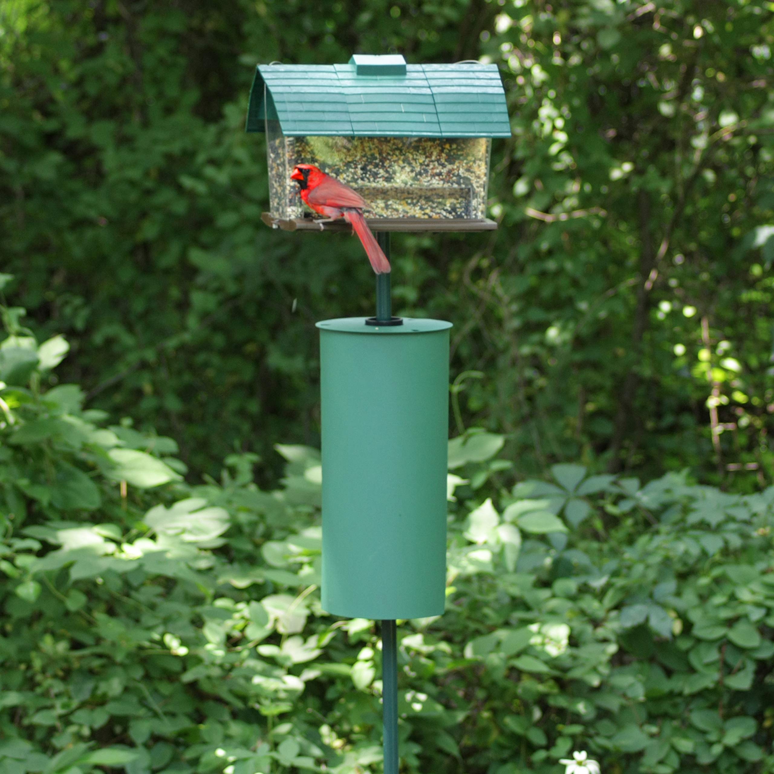 Perky-Pet 341 green metal pole baffler with garden finish blends with yard.