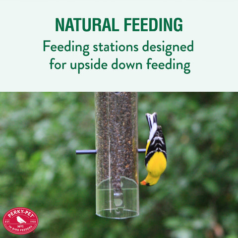 Perky-Pet 399 ports close-up highlighting six feeding ports for birds