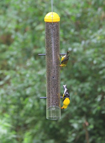 Perky-Pet 399 feeder side view showing six ports for balanced feeding
