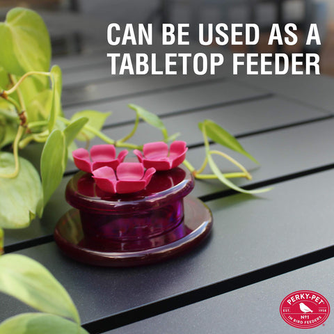Perky-Pet 9100 tapered ports function as a bee guard for calmer feeding.