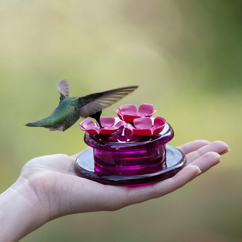 Perky-Pet 9100 tabletop hummingbird feeder on a flat surface for steady feeding.