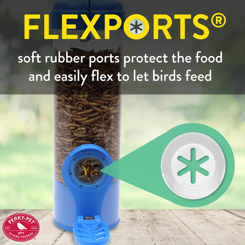 Perky-Pet enclosed design keeps mealworms fresh and dry during use