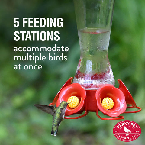 16 oz nectar capacity indicated on the Perky-Pet Favored Pinch-Waist feeder.