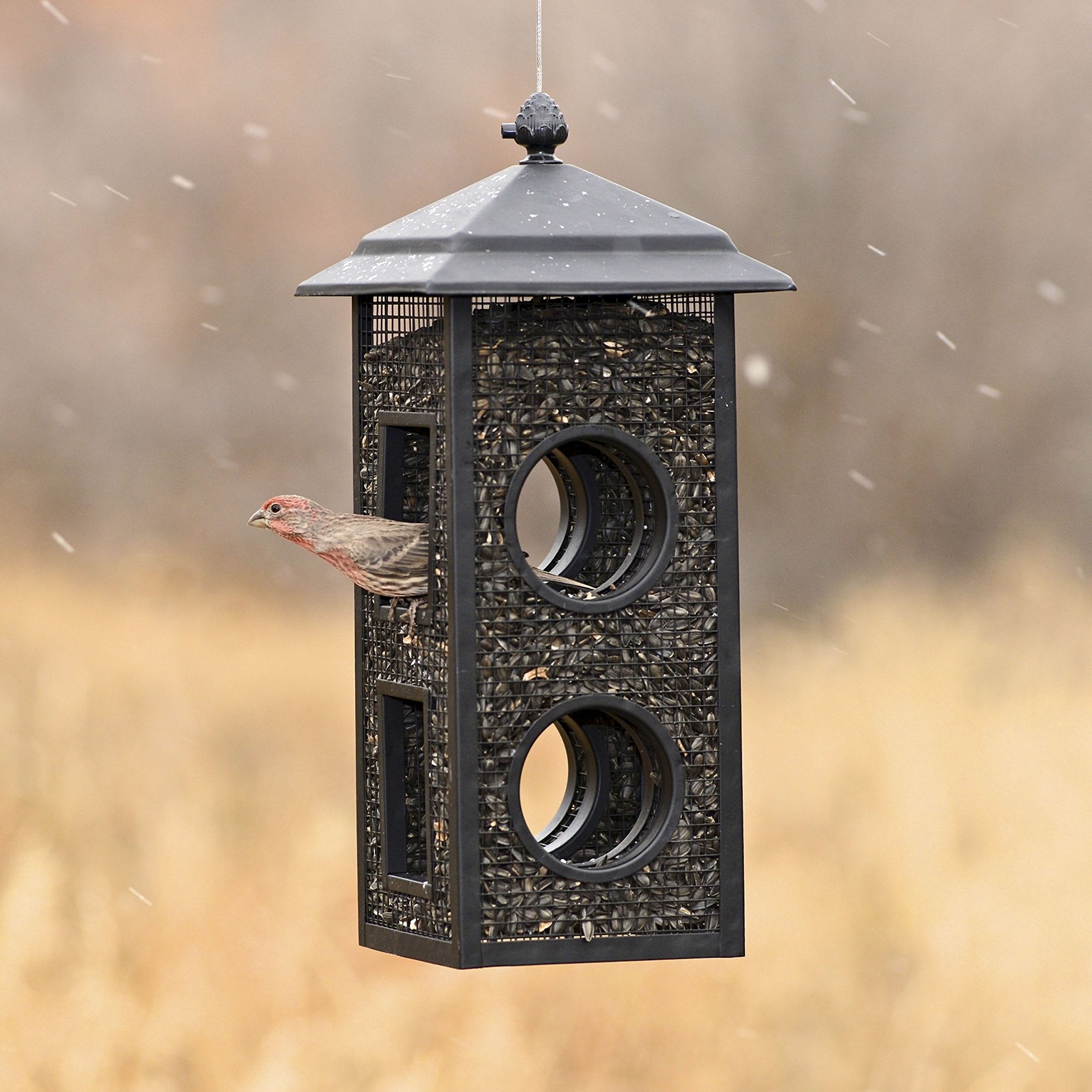 Perky-Pet Fly-Thru holds up to 2 lb of seed for busy backyard birds