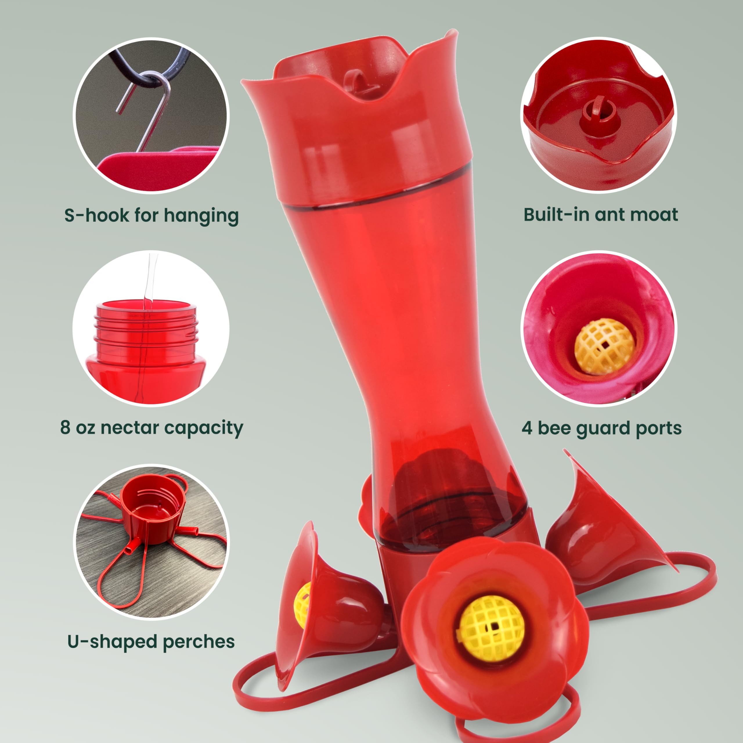 Perky-Pet four-flower-stations design invites multiple hummingbirds to feed.