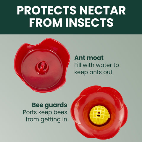 Perky-Pet easy-to-use feeder with perches and bee guards.
