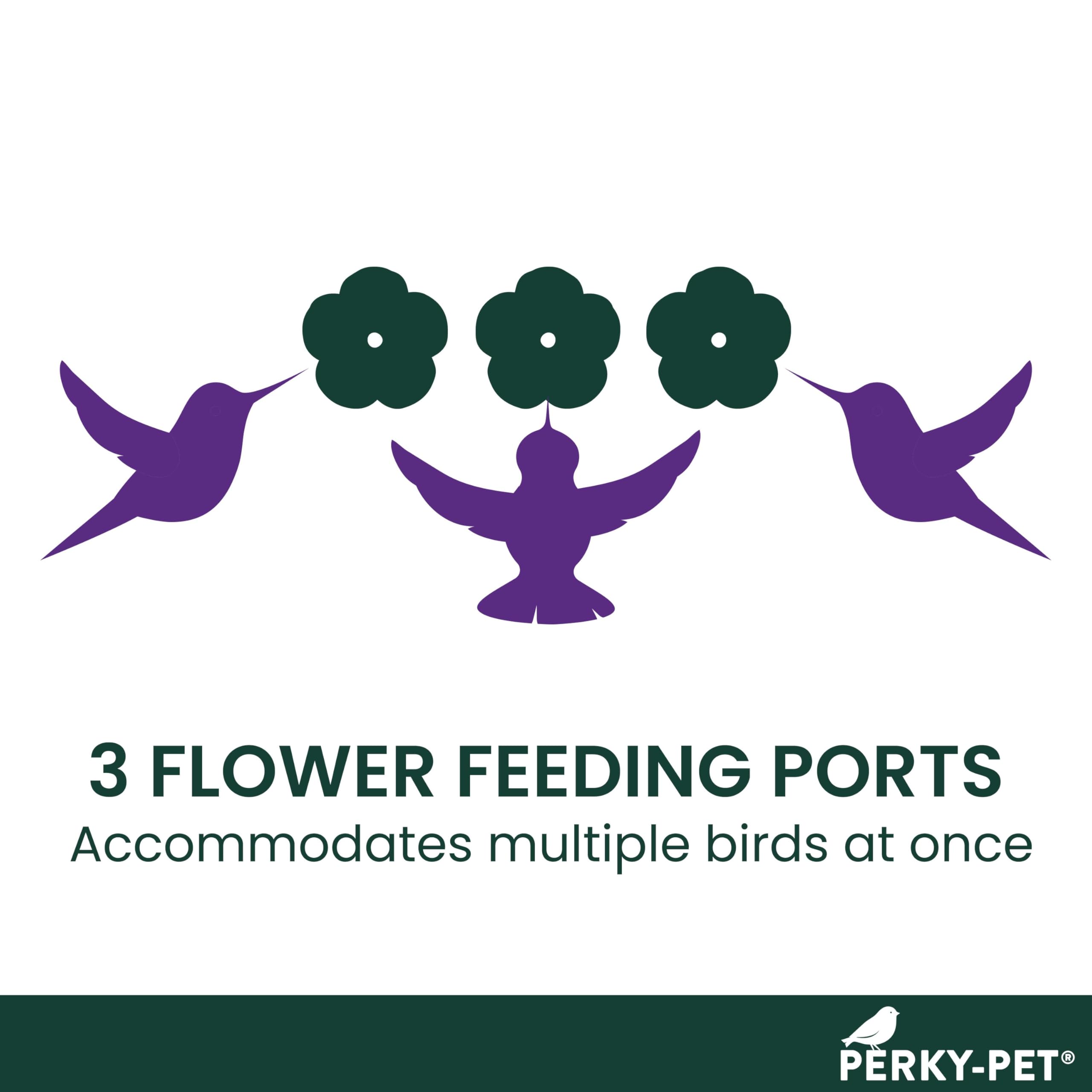 Perky-Pet feeder with perches creates comfortable dining for hummingbirds