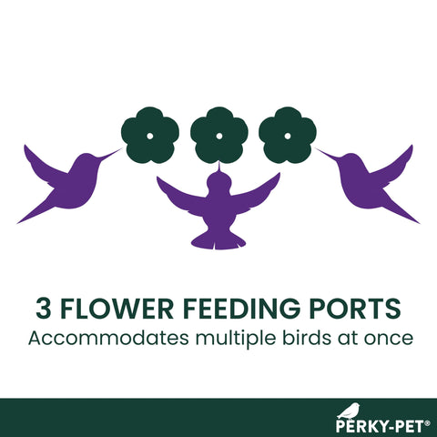 Perky-Pet feeder with perches creates comfortable dining for hummingbirds